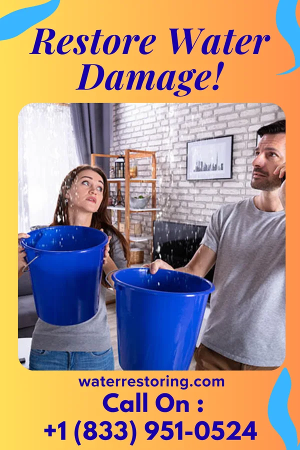 water restoration Total Mitigation Company Chelyan
