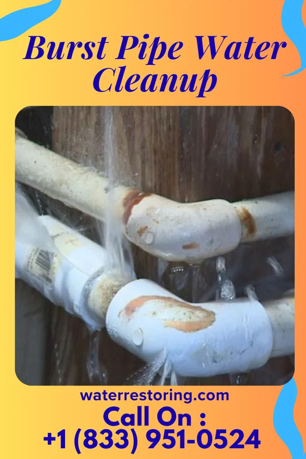 Burst Pipe Water Cleanup in Chelyan, WV