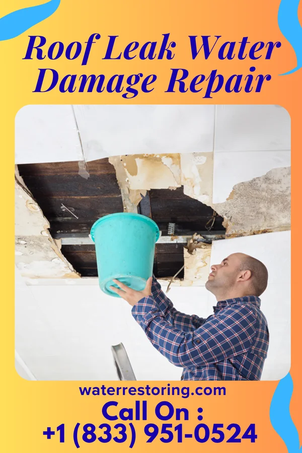 Roof Leak Water Damage Repair in Chelyan, WV
