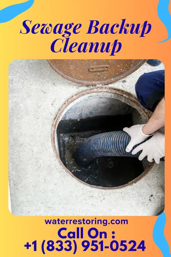 Sewage Backup Cleanup in Chelyan, WV