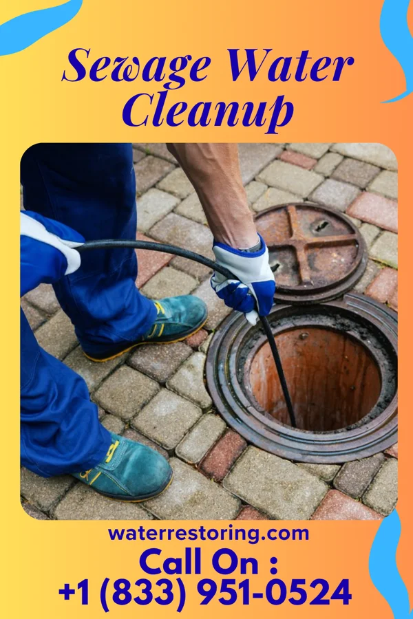 Sewage Water Cleanup in Chelyan, WV
