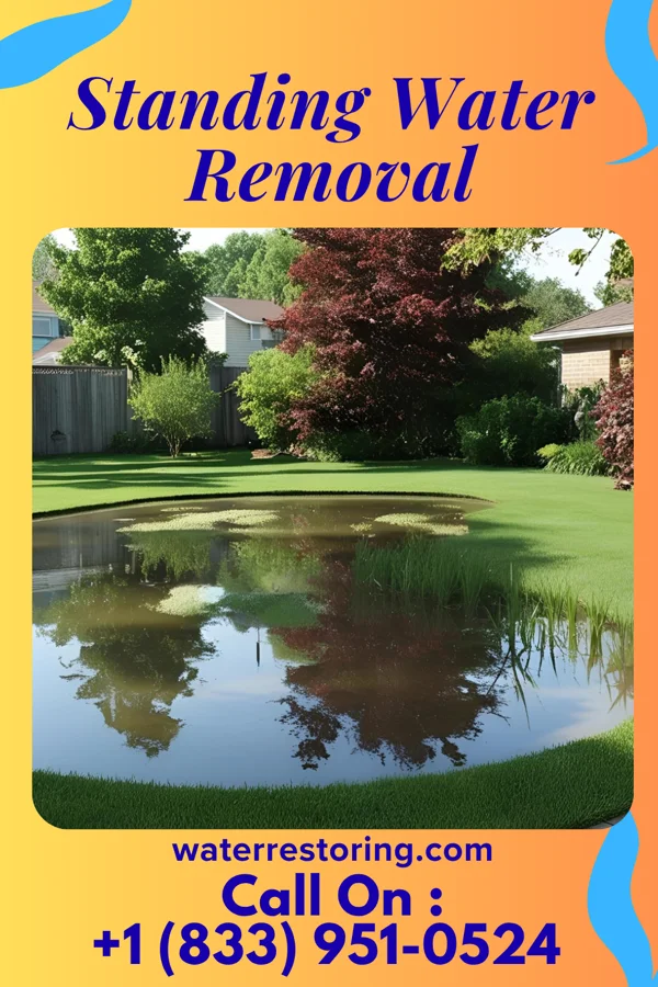 Standing Water Removal in Chelyan, WV